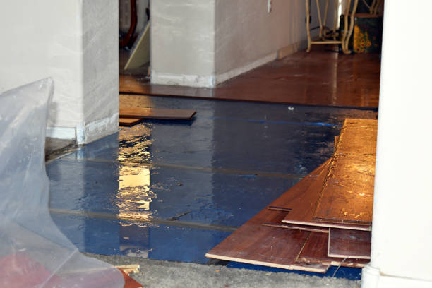 Professional Water Extraction technician working in Bitely, MI